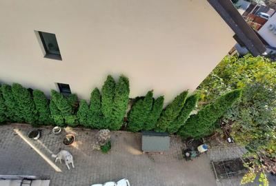 Casă individuală cu 7 camere cu Canalizare în Dămăroaia - 8