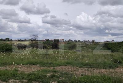 Teren intravilan in Cheriu foarte aproape de inelul metropol - 1