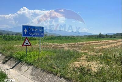 Spațiu comercial, în Colonia Tălmaciu - 1