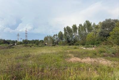 Teren de 5200 mp, în Peștișu Mare - 5