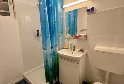 Apartament 2 camere pretabil birou-cabinet in zona Dristor-Park Lake-Parc IOR - 13