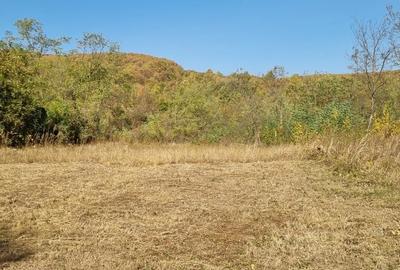 Teren de 2500 mp, în Tisău - 4
