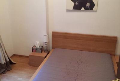 Apartament cu 2 camere decomandat în Grădina Icoanei - 5