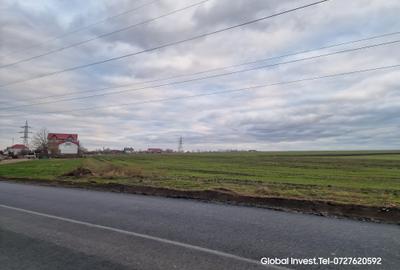 Teren agricol extravilan de 2500 mp, în Corbu - 1