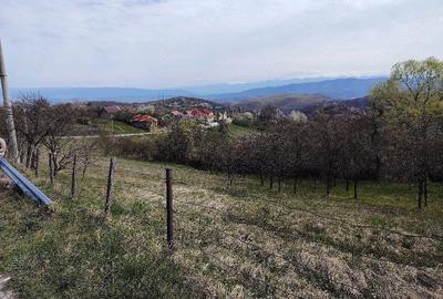 Teren de 2700 mp, în Ghelari