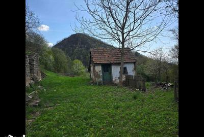 Teren de 3000 mp, în Certeju de Sus - 5