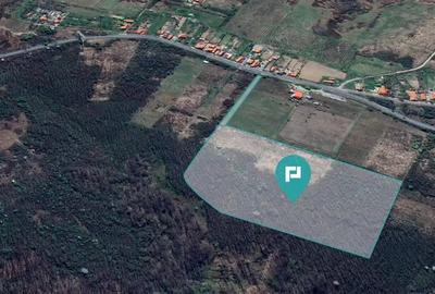 Teren de vanzare 5,47 ha | Dealul Viilor, Lugoj - 2