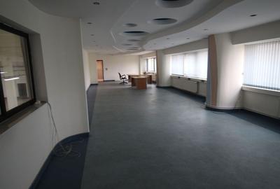 Hala productie    - Calea Torontalului de vanzare - 8