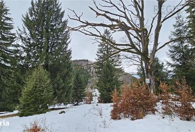 Spațiu comercial, în Poiana Brașov - 4