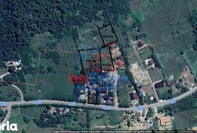 Teren de 1000 mp, în Bârnova - 4