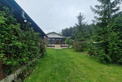 Casa la liziera padurii Valea Ursului, Bascov, Arge? 2 km de Pite?ti - 13