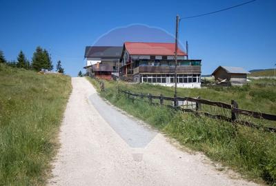 Teren 56599mp Dambovicioara / Soseaua DN 73Dealul sasului! - 6