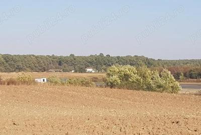 Teren de 4200 mp, în Ghimpați - 2