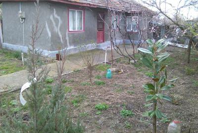 Casă cu 3 camere în Adâncata - 7