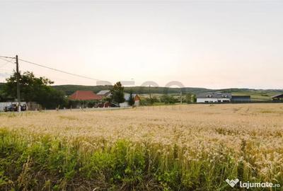 Teren de 1000 mp, în Lăzăreni - 9