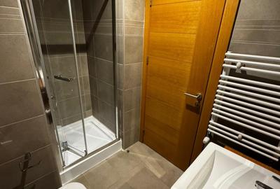 Apartament cu 3 camere semidecomandat în Dristor - 14