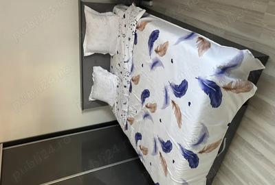 Apartament cu 2 camere decomandat în Kiseleff - 1