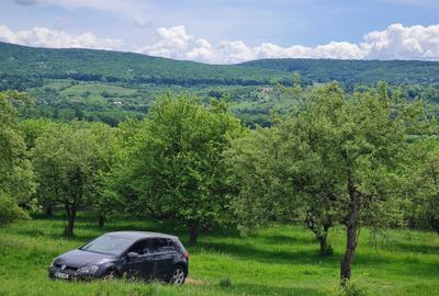 Spațiu comercial, în Stâlpeni - 11