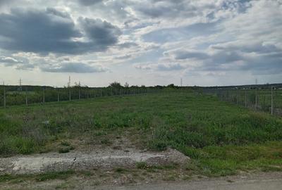 Teren de 1000 mp, în Priseaca - 4