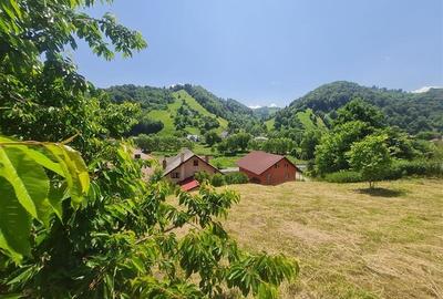 FILM!View superb catre munti,teren pretabil constructie Hotel,4.400 mp, Moieciu - 2