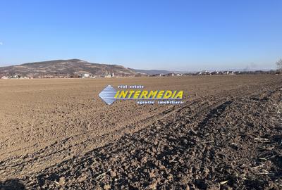 Teren Construcții intravilan de 600 mp, în Șard - 2