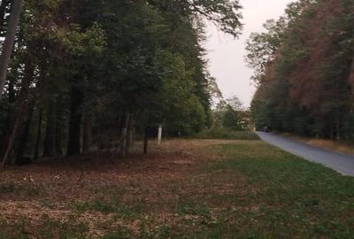 SUPER  OCAZIE TEREN 4000MP DE VANZARE IN SNAGOV CU DESCHIDERE LA LACUL SNAGOV - 14