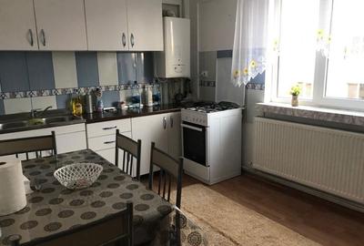 Apartament cu 2 camere decomandat în Craiovița Nouă - 6