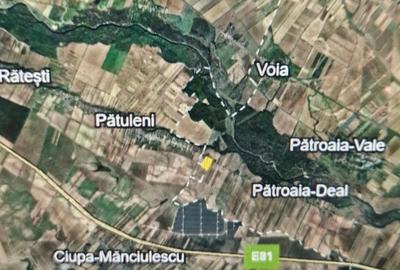 Teren de 11000 mp, în Pătroaia-Deal