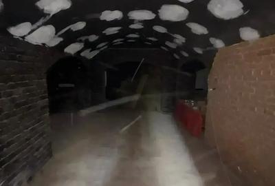 Oportunitate | Casa Interbelica | Zona Armeneasca | Pretabila Business - 7