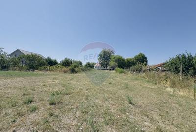 Teren Construcții intravilan de 2841 mp, în Apateu - 7