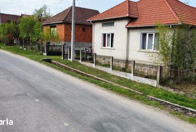 Casă cu 3 camere cu Teren 2500 Mp în Burdea - 19