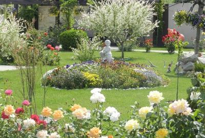 Pensiunea de Vis Pensiunea de Vis - 6