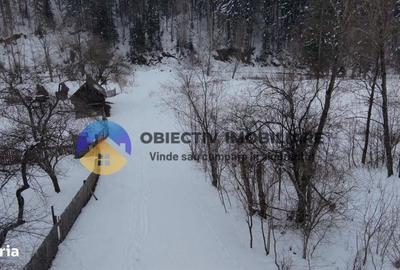 Teren de 2283 mp, în Tarcău - 13