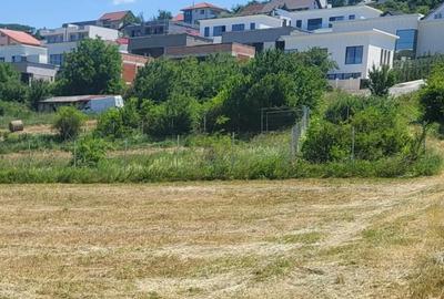 Teren de 4300 mp, în Borhanci