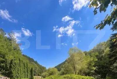 Casa de Vacan?a pe Valea Ighielului 3 camere, 2500 mp curte - 16