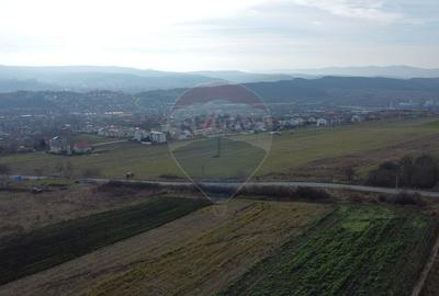 Teren agricol extravilan de 19375 mp, în Dâmbul Rotund - 13