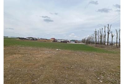 Teren intravilan 550 mp – la șosea principală, utilități la limita proprietatii - 6