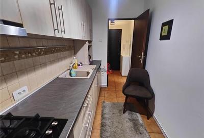 Piata Victoriei renovat si mobilat modern - 8