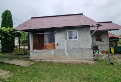 Casă cu 2 camere cu Teren 2400 Mp în Sboghițești - 3