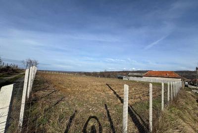 Teren de 3082 mp, în Copăcel - 6