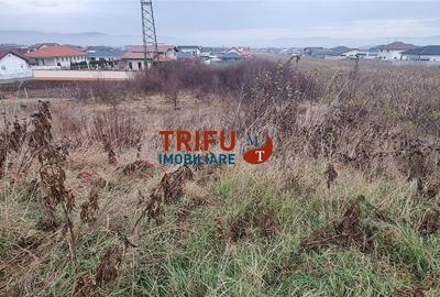 Teren intravilan 2344 mp de vanzare  Alba Micesti la asfalt - 2