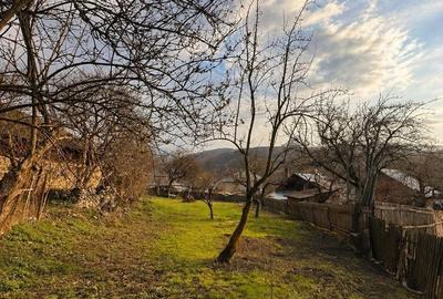 Teren de 1002 mp, în Valea Mare - 18