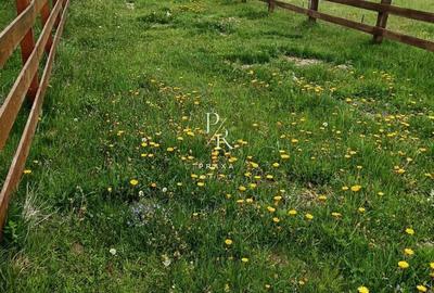 Spațiu comercial, în Măguri