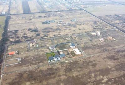 Terenuri Mosnita, Padurea Bistra, cu utilitati: 80euro/mp+TVA - 2