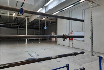 Spatiu Industrial - 5300 mp - Productie - Depozitare - Logistica - Distributie - 12