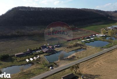 Teren de 7000 mp, în Laslea - 5