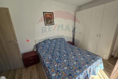 Apartament cu 3 camere semidecomandat, mobilat în Snagov - 10