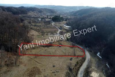 Teren de 4681 mp, în Bărăști - 4
