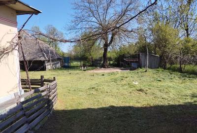 Casă cu 3 camere în Recea