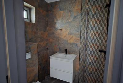 Duplex cu 5 camere cu Teren 285 Mp în Haliu - 3